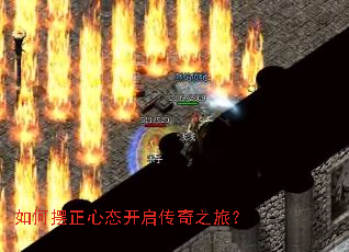 ��ΰ�����̬��������֮�ã�