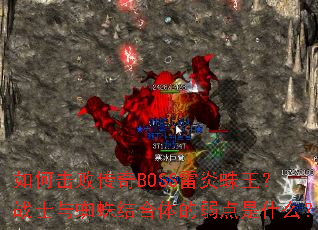 ��λ��ܴ���BOSS����������սʿ��֩�������������ʲô��