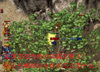 ��λ��ܴ���BOSS����������սʿ��֩�������������ʲô��