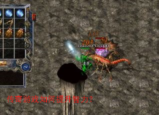 ������Ϸ�������������