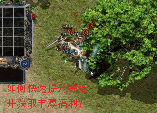 ��ο��������ȼ�����ȡ�������