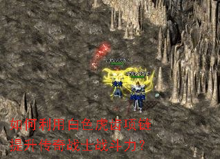 ������ð�ɫ����������������սʿս������