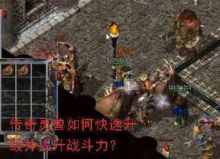 ����������ο�������������ս������