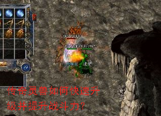 ����������ο�������������ս������