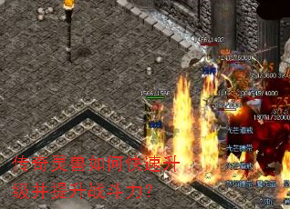 ����������ο�������������ս������