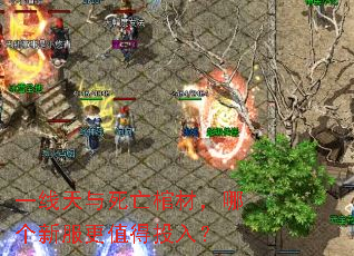 һ�����������ײģ��ĸ��·���ֵ��Ͷ�룿