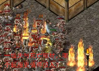 һ�����������ײģ��ĸ��·���ֵ��Ͷ�룿