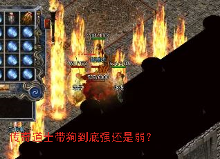 �����ʿ��������ǿ��������