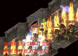 �����SKY�������ӵ�о����������ĳ��