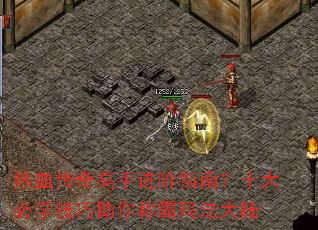 ��Ѫ������ֽ���ָ�ϣ�ʮ���ѧ��������ư��귨��½