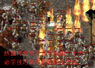 ��Ѫ������ֽ���ָ�ϣ�ʮ���ѧ��������ư��귨��½