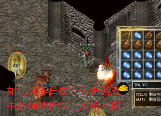 ��������׻���������Ϸ�еĶ����淨�빥��ָ��