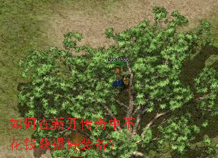 ������¿������в���Ǯ��ú�װ����