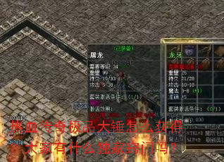 ��Ѫ���漫Ʒ����ô��ã������ʲô����������