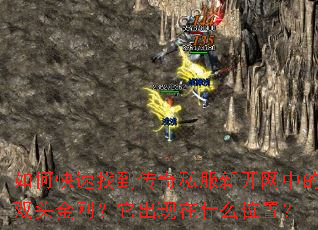 ��ο����ҵ�����˽���¿����е�˫ͷ��գ���������ʲôλ�ã�