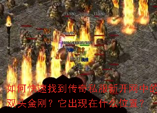 ��ο����ҵ�����˽���¿����е�˫ͷ��գ���������ʲôλ�ã�