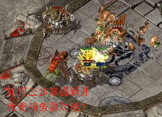 ������������¿�������������ܣ�