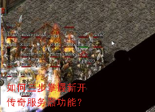 ������������¿�������������ܣ�