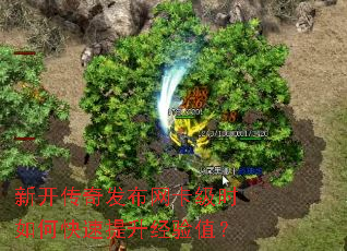 �¿����淢��������ʱ��ο�����������ֵ��