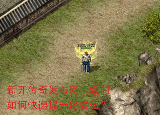 �¿����淢��������ʱ��ο�����������ֵ��