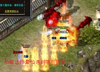 ˽����ʦ����������Щ���ܣ�