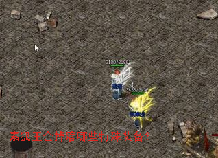 �غ����������Щ����װ����