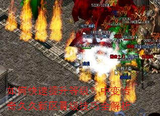 ��ο��������ȼ����б䴫��þ�������������ȫ����