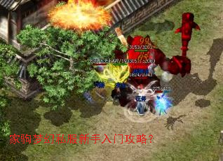 �Ҿ��λ�˽���������Ź��ԣ�