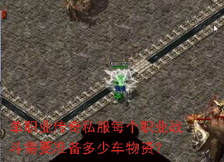 ��ְҵ����˽��ÿ��ְҵս����Ҫ׼�����ٳ����ʣ�