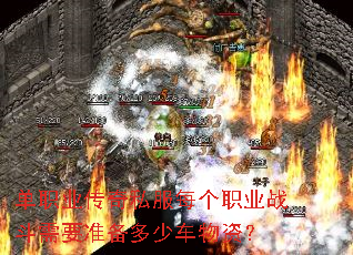 ��ְҵ����˽��ÿ��ְҵս����Ҫ׼�����ٳ����ʣ�