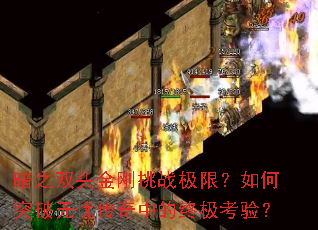 ��֮˫ͷ�����ս���ޣ����ͻ�����Ǵ����е��ռ����飿