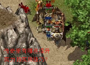 ����������Щ����ʵ����ʵ�ü��ɣ�