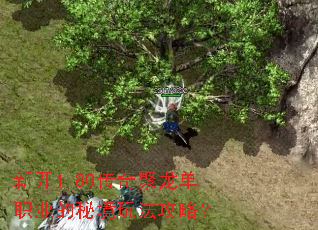 �¿�1.80���������ְҵ���ؾ��淨���ԣ�