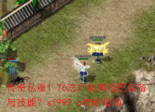 ����˽��1.76��ʦ��δ���װ���뼼�ܣ�sf999.c����ָ��