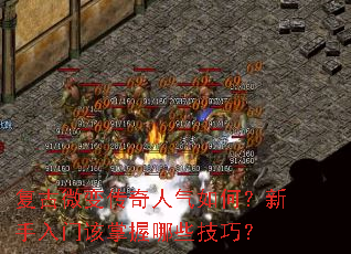 ����΢�䴫��������Σ��������Ÿ�������Щ���ɣ�