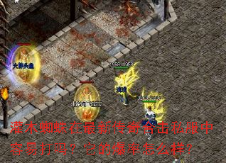 ��ľ֩�������´���ϻ�˽�������״������ı�����ô����