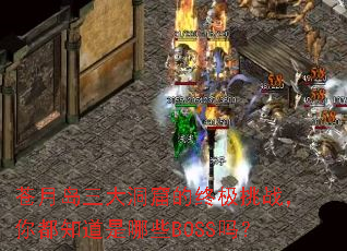 苍月岛三大洞窟的终极挑战,你都知道是哪些BOSS吗? 苍月岛三大洞窟的终极挑战,你都知道是哪些BOSS吗?