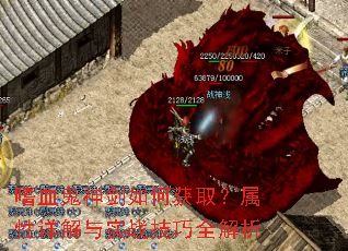 ��Ѫ������λ�ȡ�����������ʵս����ȫ����