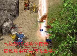 �߼�BOSS�ٻ����ڴ���˽���о����ж���Ҫ��