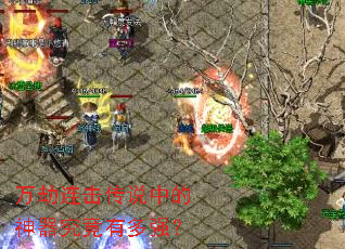 ���������˵�е����������ж�ǿ��