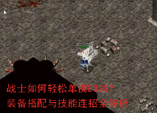 սʿ������ɵ���BOSS��װ�������뼼������ȫ����