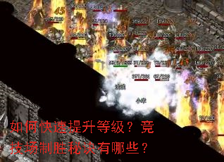 ��ο��������ȼ�����������ʤ�ؾ�����Щ��