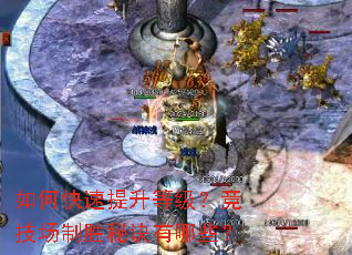 ��ο��������ȼ�����������ʤ�ؾ�����Щ��