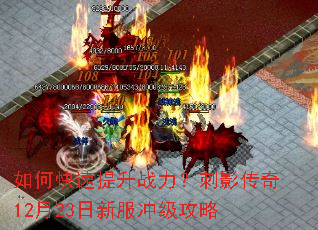 ��ο�������ս������Ӱ����12��23���·��弶����