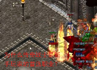 Ϊʲô����սʿ��������ҵ���ѡְҵ��