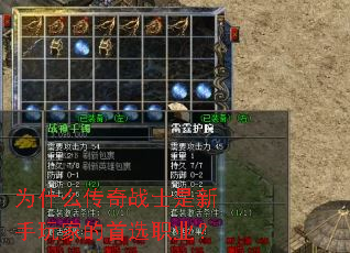 Ϊʲô����սʿ��������ҵ���ѡְҵ��