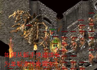 ��δ����ֿ��ٳɳ�Ϊ��ְҵ���������