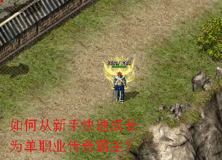 ��δ����ֿ��ٳɳ�Ϊ��ְҵ���������