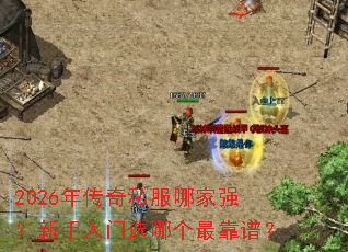 2026年传奇私服哪家强?新手入门选哪个最靠谱? 2026年传奇私服哪家强?新手入门选哪个最靠谱?