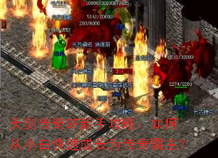 �콣����SF���ֹ��ԣ���δ�С�׿��ٳɳ�Ϊ���������